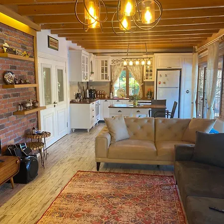 Villa Sile Ahsap Havuzlu Ahmetli