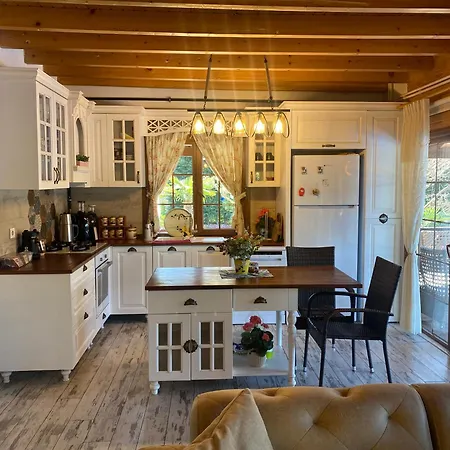 Villa Sile Ahsap Havuzlu Ahmetli
