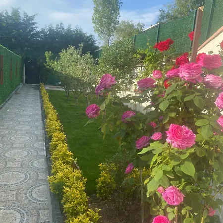 Villa Sile Ahsap Havuzlu Ahmetli